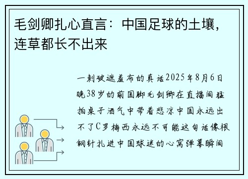 毛剑卿扎心直言：中国足球的土壤，连草都长不出来